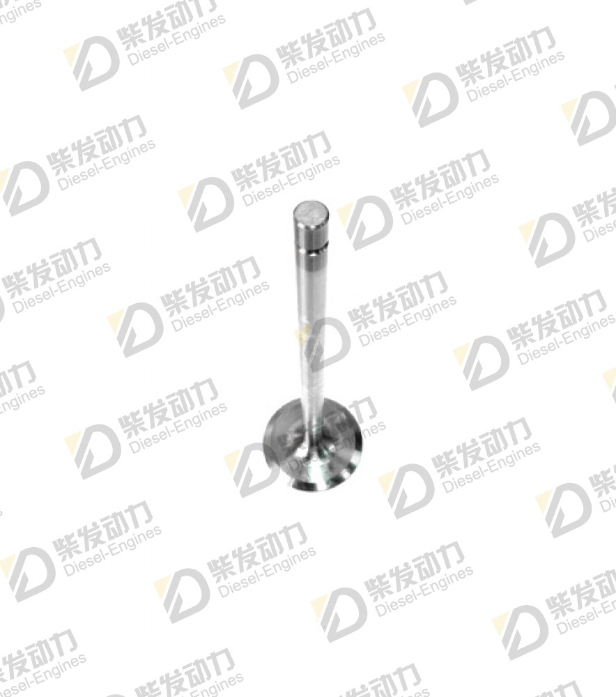 Inlet valve 1556813 